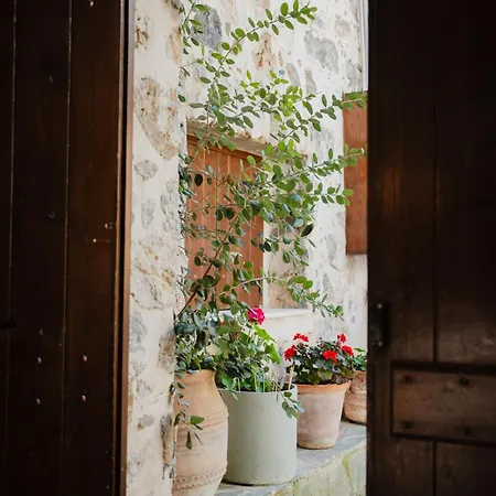 Domus Polymnia, Hospitality At Its Best! Apartment *